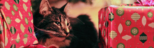 Vegan Christmas Gifts